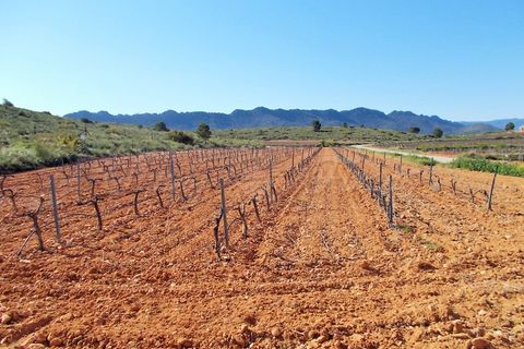 Farm hus i Yecla, Murcia, Yecla - € 410.000 | Ref: SF0064 - foto 23